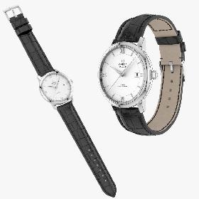 Omega Deville Prestige White Gold Collection 3D model